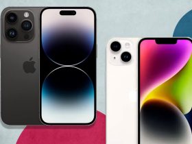 Perbandingan iPhone 14 dan iPhone 14 Pro (iStock/The Independent)